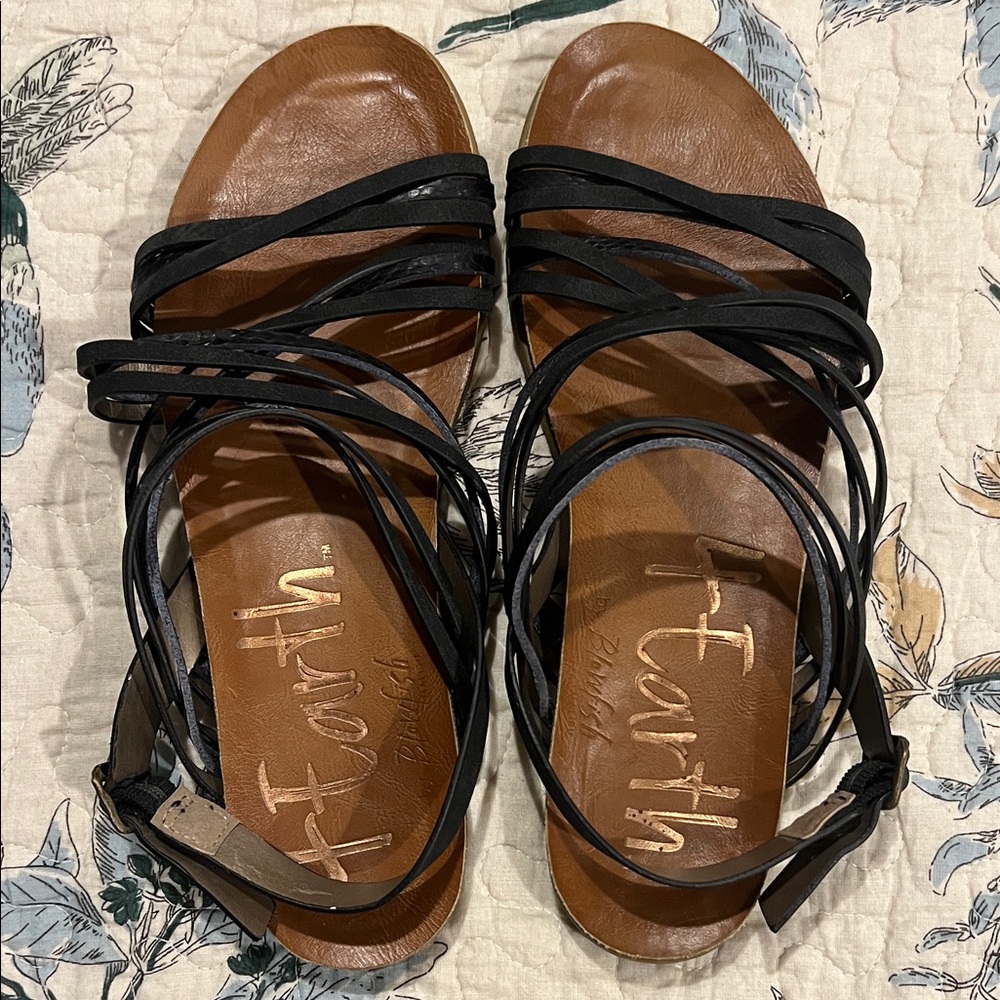 Earth Women's Black Sandals